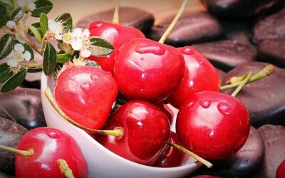 Kirsche (Prunus cerasus, Prunus avium)